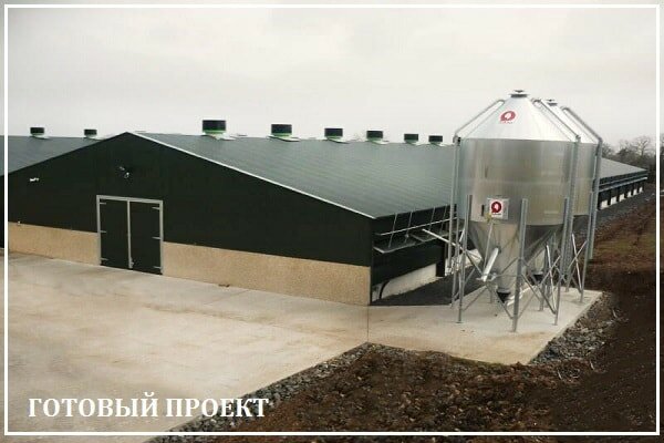 Этапы возведения птицефабрики от завода ВелесТент-Ксл